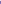 Skinny Crush  -  Morado