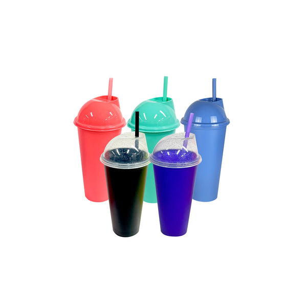 Fiesta Ice 24 oz